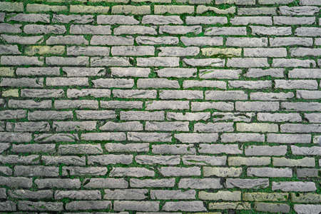 Brick Wall Background Texture With Green Nature Grassの写真素材