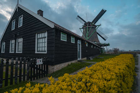 Zaandam, Netherlands - March 6, 2020: Windmills in Zaanse Schans in Zaandam city. Museum village in Netherlands (Holland)のeditorial素材