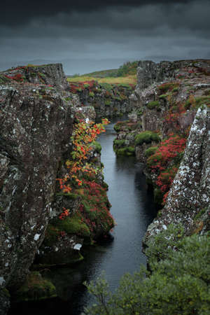 Icelandic nature landscape of Thingvellir National Park. South Icelandの素材 [FY310152499807]