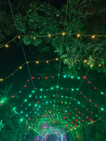 This image captures a stunning nighttime scene of a forest canopy adorned with a dazzling array of...