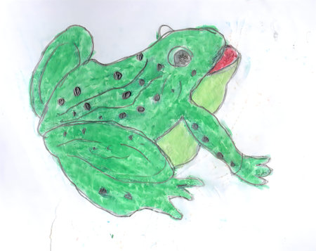 This image features a detailed drawing of a green frog with a red tongue sticking out. The frog has...