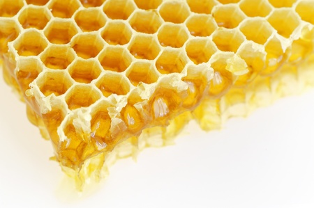 Honeycomb isolated on whiteの写真素材