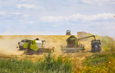 Combine harvester in action on wheat field. Palouse harvest season. Focus on green combine!の写真素材