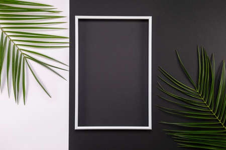 Summer composition with photo frame and green leaves on yellow background. Creative mockup with copy space and tropical leaves.の写真素材