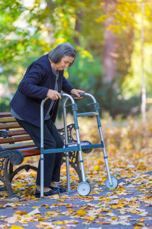 Woman with walker walking in autumn parkの写真素材