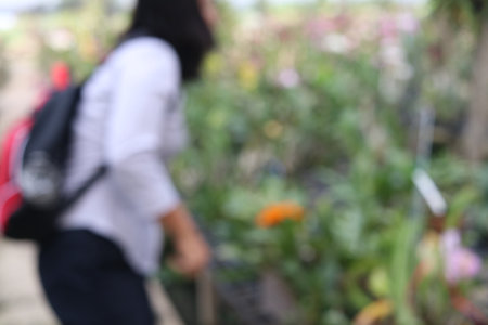 Blurred photography , a lady is watching orchids in plant market, Thailand.の写真素材