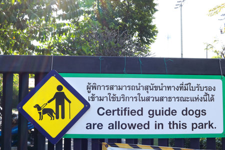 Blind man and dog sign on yellow square shape with Thai language and English language in same meaning on white background and green line frame hanging on black fence.の写真素材