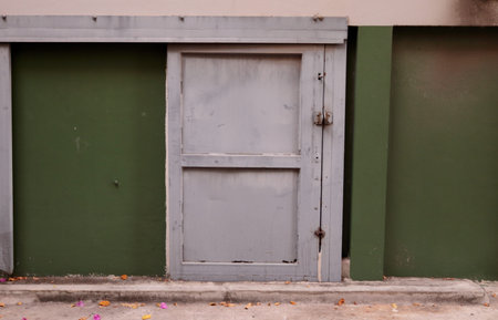 Light gray painted simplicity wood closed door and green wall of rear building beside concrete...