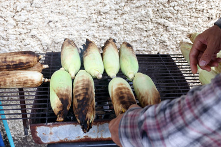 Whole corn grilling on old metal grate above charcoal stove beside concrete wall for sale.の写真素材