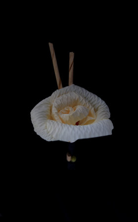 Thai artificial funeral flowers on black background.の写真素材