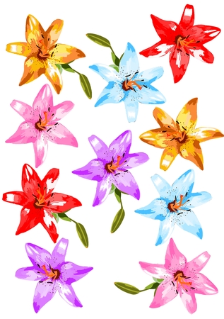 Collection of colorful flowers. Different variants of colors lilies.のイラスト素材