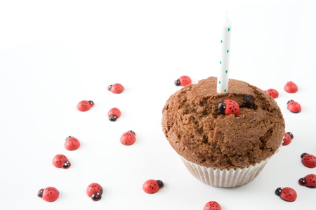 chocolate muffin with a candle and ladybirds on a white backgroundの写真素材