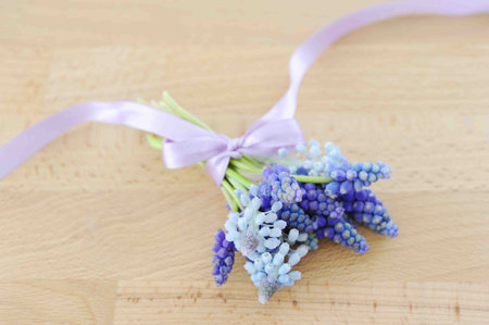 Muscari bouquet, tied with a purple ribbon on a wooden tableの写真素材