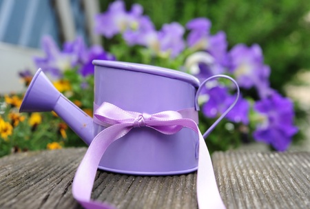 Violet watering can on a wooden bench against the backdrop of colorful flowersの写真素材