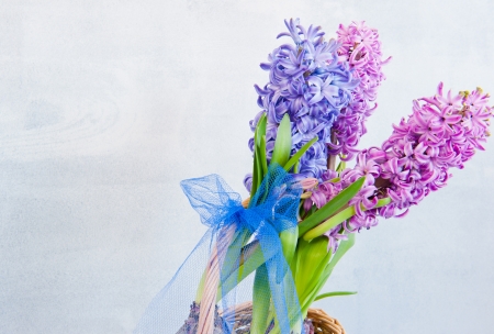 Hyacinths in a basket with blue bowの写真素材