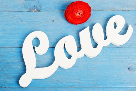 The word love on a blue wooden background, near red ranunculusの写真素材
