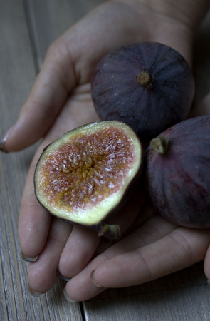 Ripe fresh figs straight from the bushの写真素材