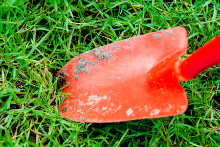 gardenの写真素材