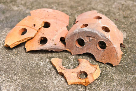 pot tree broken with growthの写真素材