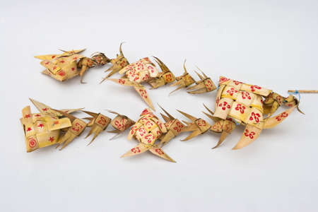 fish and background whiteの写真素材