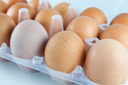 eggs on background white