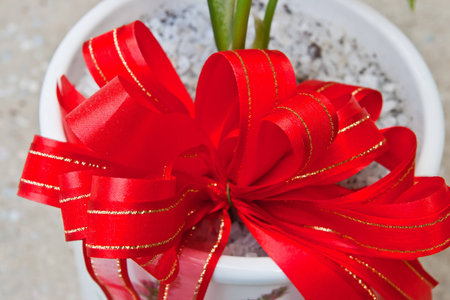 red satin bow