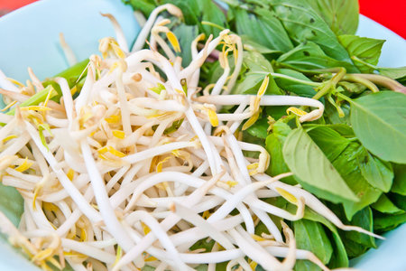 Close up of Bean Sprouts 