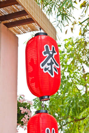 asia lampのeditorial素材