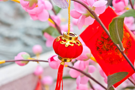 Chinese New Yearの写真素材