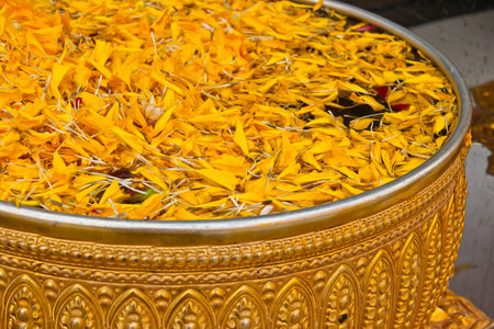 bowl holy waterの写真素材