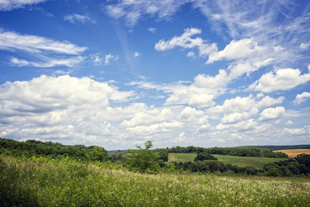 Landscape with green field and blue skyの写真素材