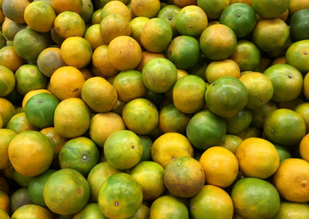 orange close-upの写真素材