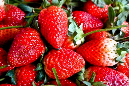 Bright red strawberriesの写真素材