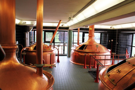 How to make beer in beer factory