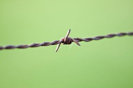 Barbed wireの写真素材