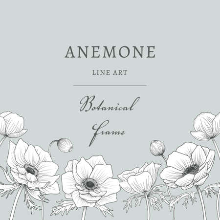 Anemone's Hand-Painted Botanical Frame Squaresのイラスト素材