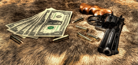 Gun and  money の写真素材