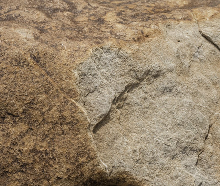 Section of a large stone out of the quarry showiing wonderful defination and textures
