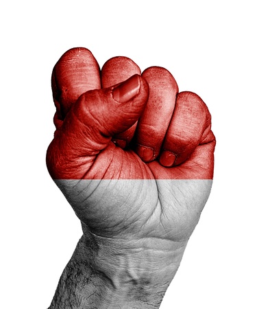 Front view of punching fist, banner of Indonesia の写真素材