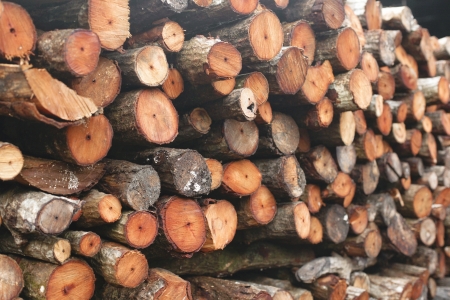 Close up from a pile of wood for fire in winterの写真素材
