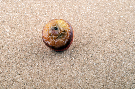Wilted rotten apple on brown background.の写真素材