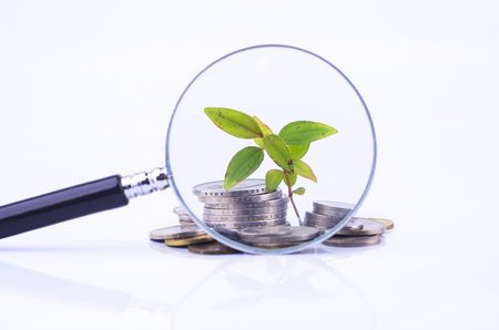 Magnifier glass and coin with plant on white background. Financial concept.の写真素材
