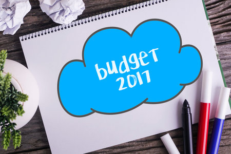 Notepad and green plant on wooden background with budget 2017 wordの写真素材