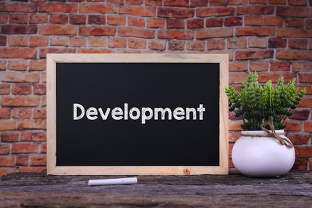 Development word on blackboard with green plantの写真素材