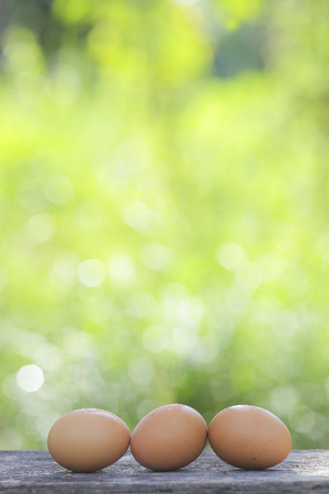 Egg on wooden table with shallow DOF green backgroundの写真素材