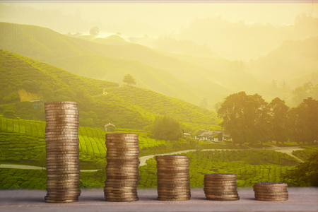 Travel Concept : Gold coin stacked on nature backgroundの写真素材