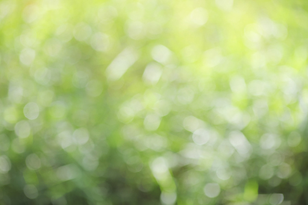 Abstract green blur background. Nature bokehの写真素材