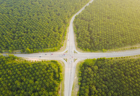 Busy Road junction in the middle of green palm plantation, view from aerialの写真素材