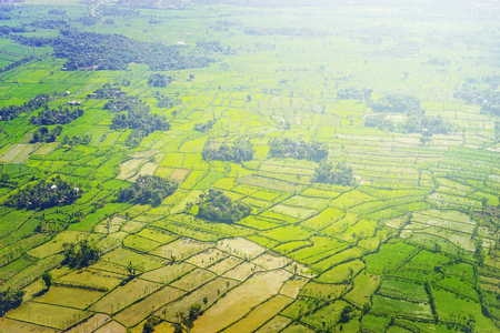 Aerial view of beautiful green paddy field at Lombok, Indonesiaの写真素材