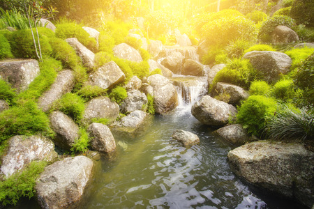 Landscape of small waterfall in the jungle with green mossy.の写真素材